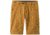 prAna Stretch Zion Short - Mens, Bronzed, 28 Waist, 10 inch Inseam, M3ST10117-BRZD-28