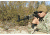 Primary Arms SLx 4X Compact Prism Scope with the Patented 7.62X39/300BO ACSS Reticle, Black PAC4XAK300BO