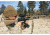Primary Arms SLx 4X Compact Prism Scope with the Patented 7.62X39/300BO ACSS Reticle, Black PAC4XAK300BO