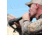 Primos Hunting Bullet Bugle Elk Call, Blue Reeds, Trap, 946