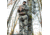 Primos Hunting Fightin Horns, Trap, 710