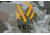 Primos Hunting Hide-N-Sneak Ground Blind, Veil Camo, 65113