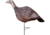 Primos Hunting Photoform Hen Decoys, 69068