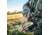 Primos Hunting Shot Caller Double Sided Box Call, Blister, PS2962