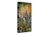 Primos Hunting The Truth 14  DVD - Big Bulls 42141
