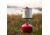 Primus Essential Trek Pot Set, P-741450