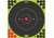 Pro-Shot Pro-Shot Splatter Shot Bullseye / 12 Target, Green, 6in, 6B-GREEN-12PK, Green, Black, 6B-GREEN-12PK