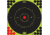 Pro-Shot Splatter Shot Bullseye Targets Peel And Stick 12 Inch Green 500 Pack