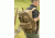 PROPPER Adjustable MOLLE Tool Pouch, Coyote, ONE SIZE F56570A236