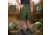 Propper BDU 2.0 Cargo Shorts, Olive, 3XL, F52626F3303XL