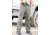 Propper EDGETEC Tactical Pants w/5 Pockets - Mens, Khaki, W28, L37, F59065P25028X37