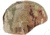 Propper Helmet Cover, OCP, S-M, F551021389S-M
