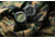 ProTek 250Th Anniversary USMC Dive Watch