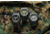ProTek 250Th Anniversary USMC Dive Watch