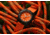 ProTek Aggressor Carbon Composite Dive Watch