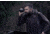 Pulsar 2-8x Axion 2 LRF XQ35 Thermal Monocular, Black, PL77479