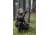 Pulsar Helion XQ50F 4.1-16.4x Thermal Imaging Monocular, PL77395