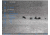 Pulsar Thermion 2 XQ38 Thermal Rifle Scope, 2.5-10x, 10 Reticle Options, PL76545