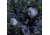 Pulsar Ultra X850 IR Illuminator, Black PL79135