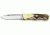 Puma Knives Drophunter Stag Folding Knife, Small 821900