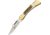 Puma Knives Earl Lockback Folding Knife,Clip,Stag Handle PU210900
