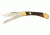 Puma Knives Warden Folding Knife w/ Saw, 3.7in Blade, Jacaranda Wood 6169623W