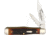 Queen Swell Center Stag Folding Knife,1095 Carbon Steel,Standard Edge,Clip and Pen,Mirror Polish,Stag Bone Handle QNKD56S