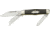 Queen Woodmans Fold Knife, sheepsfoot and pen blade, Smooth black ebony wood handle QN3762