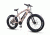 QuietKat Ranger 750W Electric Bike, w/ Rear Hub Motor, Chain Drive, 7 Speed, Suspension Fork, Mechanical Disc Brakes, Camo, One Size Fits Most, 18QKH750CCS-C
