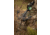 Rage Crossbow X