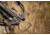 Rage Crossbow X