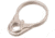 Rainier Arms Single Point QD End Plate, AR-15/AR-10, Flat Dark Earth, RA006-FDE