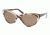 Ralph Lauren RL8070 Progressive Sunglasses - Zebra-Havana Brown Frame / 56 mm Prescription Lenses, 529873-5618
