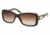 Ralf Lauren RL8066 #526013 - Top Black-Havana Brown Gradient Frame