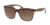 Ralph RA5237 Bifocal Prescription Sunglasses RA5237-1699T5-53 - Lens Diameter 53 mm, Frame Color Tortoise / Crystal