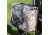 Rambo Bikes Half Saddle Bag, Camo, R156
