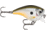 Rapala BX Brat, Crankbait Hard Flash, Square Bill, 2in, 3/8 oz 3 Ft, 6 Hooks, Change Up, BXB03CUP