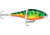 Rapala BX Jointed Shad Crankbait, 6ft, 2.5in, 1/4 oz, Firetiger, BXJSD06FT