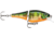 Rapala BX Jointed Shad Crankbait, 6ft, 2.5in, 1/4 oz, Perch, BXJSD06P