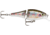 Rapala BX Jointed Shad Crankbait, 6ft, 2.5in, 1/4 oz, Rainbow Trout, BXJSD06RT