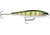 Rapala Bx Minnow, Floating, Yellow Perch, 2 3/4in, 1/4oz, BXM07YP