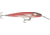 Rapala CountDown Magnum Elite 145 Jig, Armored Real Red Bait, CDMAGE145AMRRB