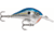 Rapala Dives-To 06 Lure, Blue Shad, DT06BSD