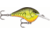 Rapala Dives-To 06 Lure, Chartreuse Rootbeer Crawdad, DT06CRTBC