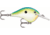 Rapala Dives-To 06 Lure, Citrus Shad, DT06CTSD