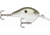 Rapala Dives-To 06 Lure, Green Gizzard Shad, DT06GGSD