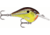 Rapala Dives-To 06 Lure, Hot Mustard, DT06HM