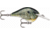 Rapala Dives-To 06 Lure, Live Bluegill, DT06BGL
