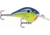 Rapala Dives-To 06 Lure, Parrot, DT06PRT