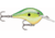 Rapala Dives-To 06 Lure, Rasta, DT06RTA